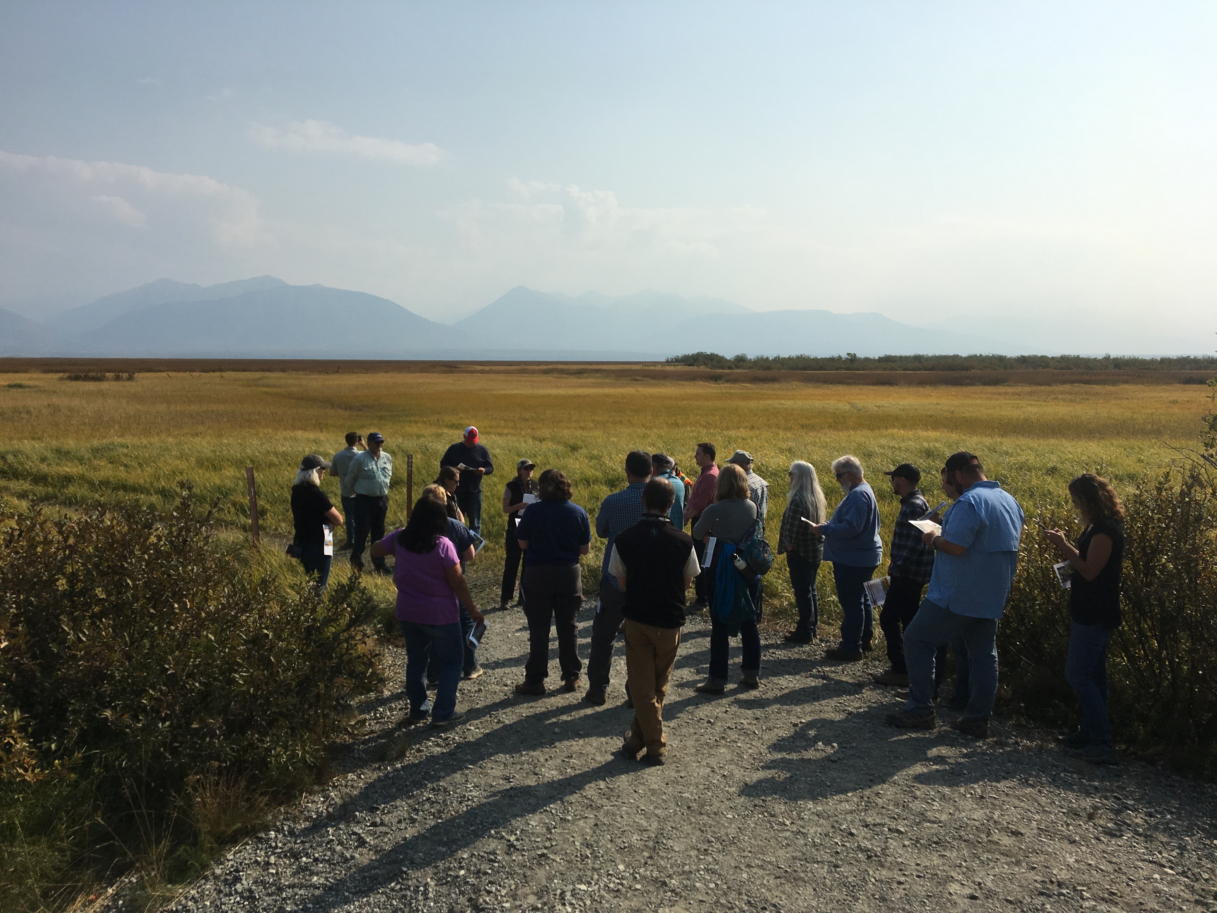 Staff from Great Land Trust talk about the value of conserving wetlands and shoreline habitat at the Palmer Hay Flats