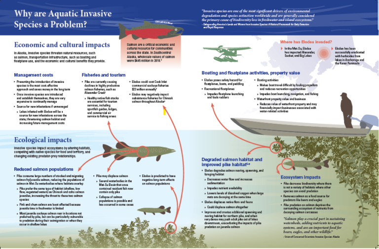 Aquatic Invasive Species