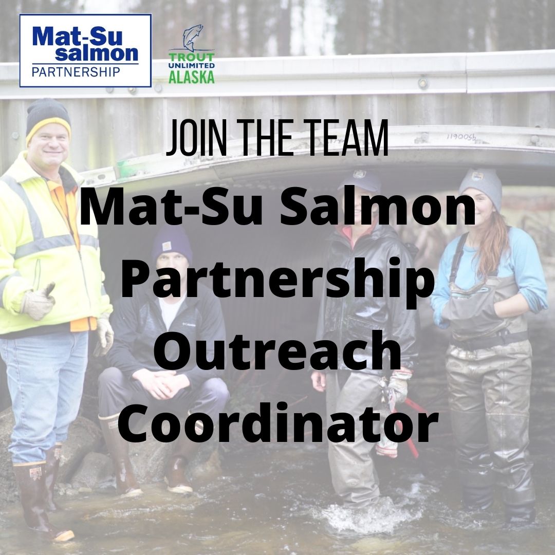 matsu outreach coordinator
