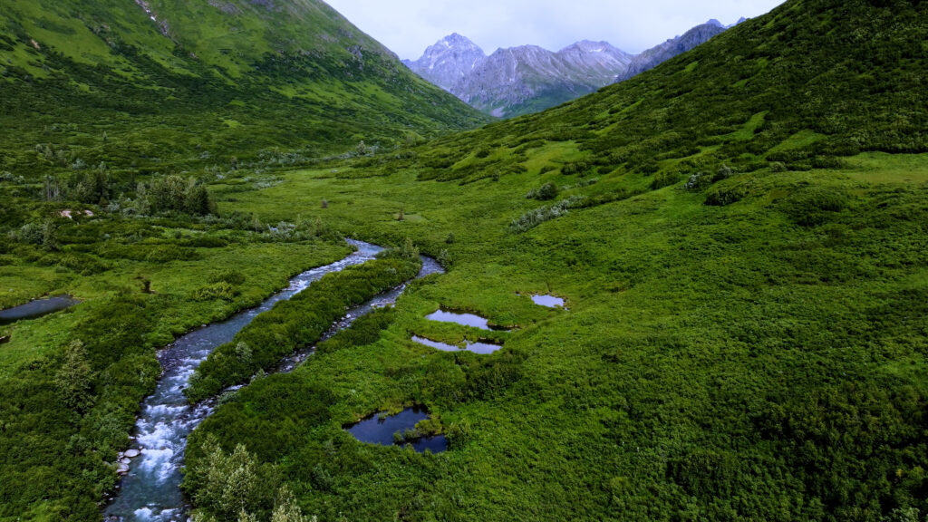 The headwaters of the Little Susitna River form high in Hatcher Pass.