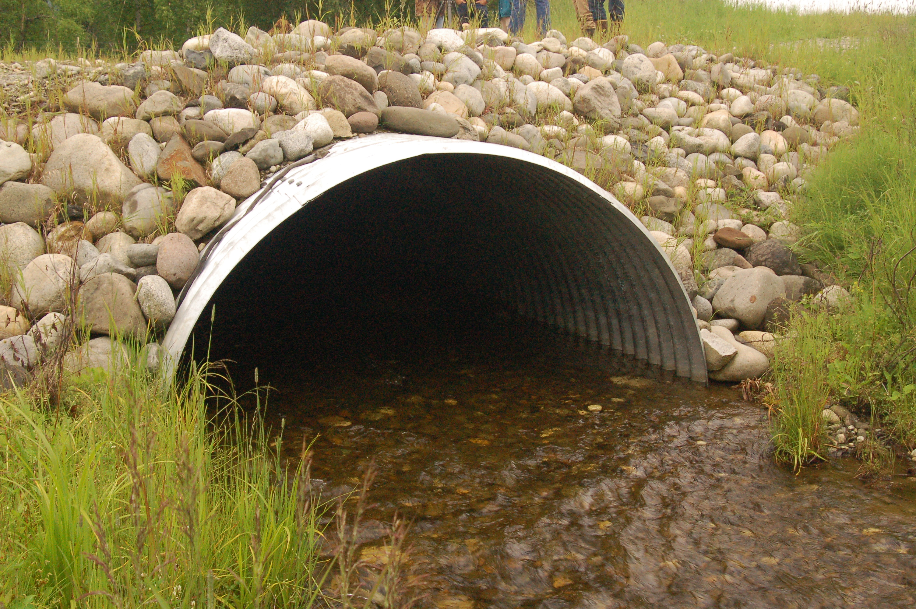 Fish Passage Design Workshop in SE AK