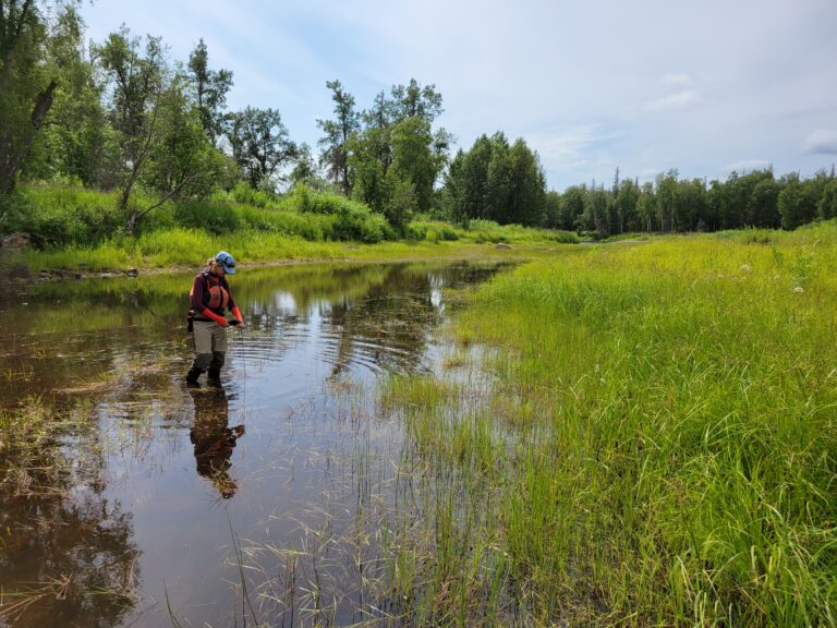 Deshka landing weather cam